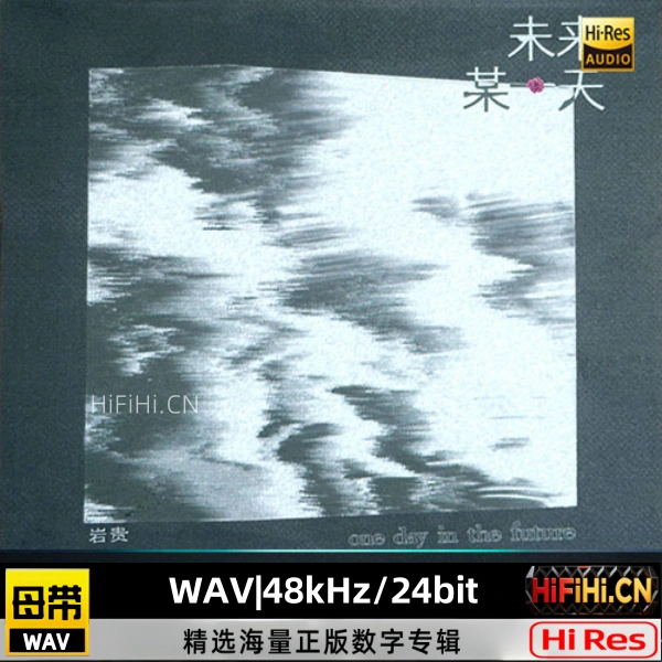 岩贵 - 未来某一天 岩贵 | 815MB | 母带音源, WAV|48kHz/24bit-AiHiFi.CN